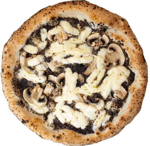 Pizze - Fully Ready Bianche 12" - HF DISTRIBUTION